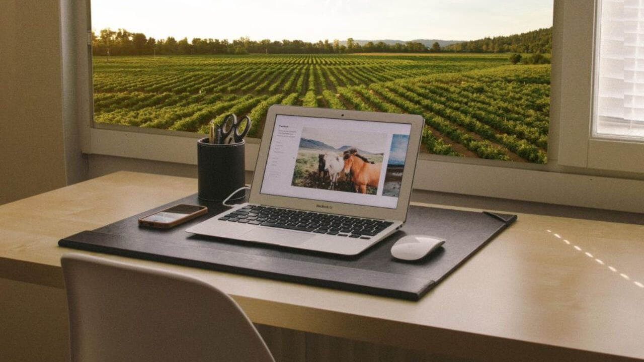 4 ways your farm can thrive post-pandemic